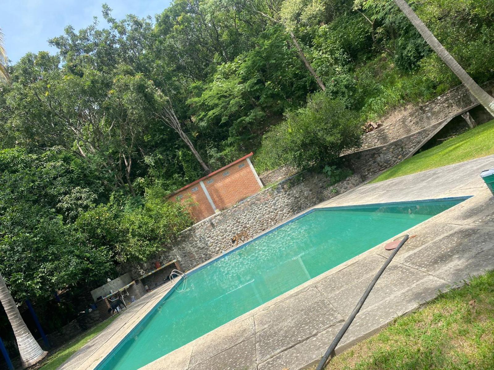 Avivamiento Hotel Amacuzac Luaran gambar